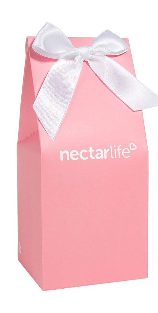 Pink Gift Bag with Bow - Small